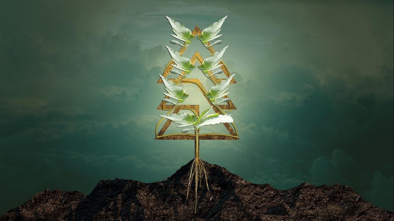 Trees Dispensary Englewood Englewood, CO Dispensary Leafly